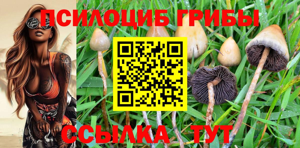 Галлюциногенные грибы мухоморы  Галлюциногенные грибы Cubensis  Озёры  Вход с VPN 
